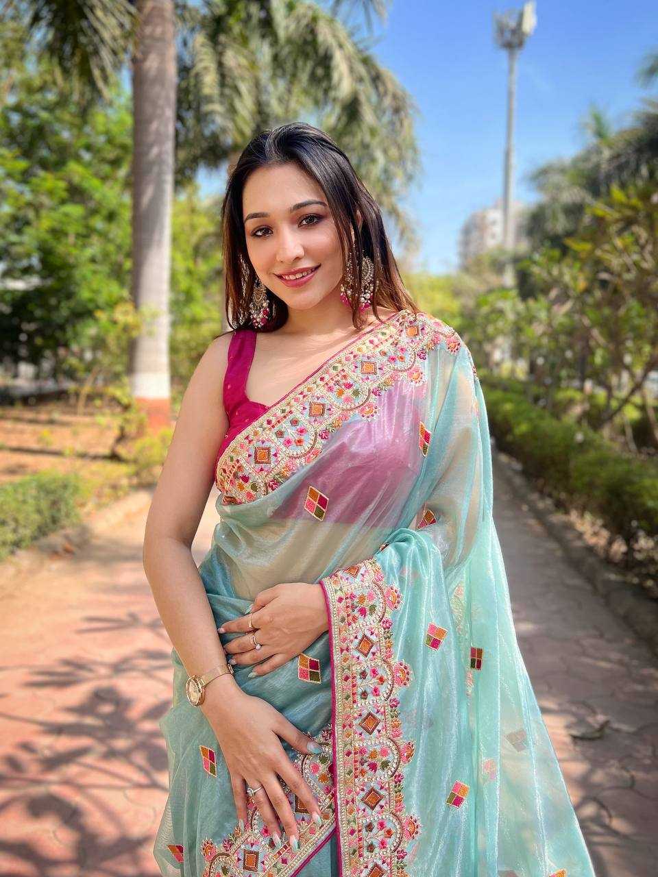 Twill Net  Embroidered Lace Border Stone Work Zari Saree